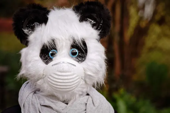 Cazino Volcano Bingo Cazinou Suport